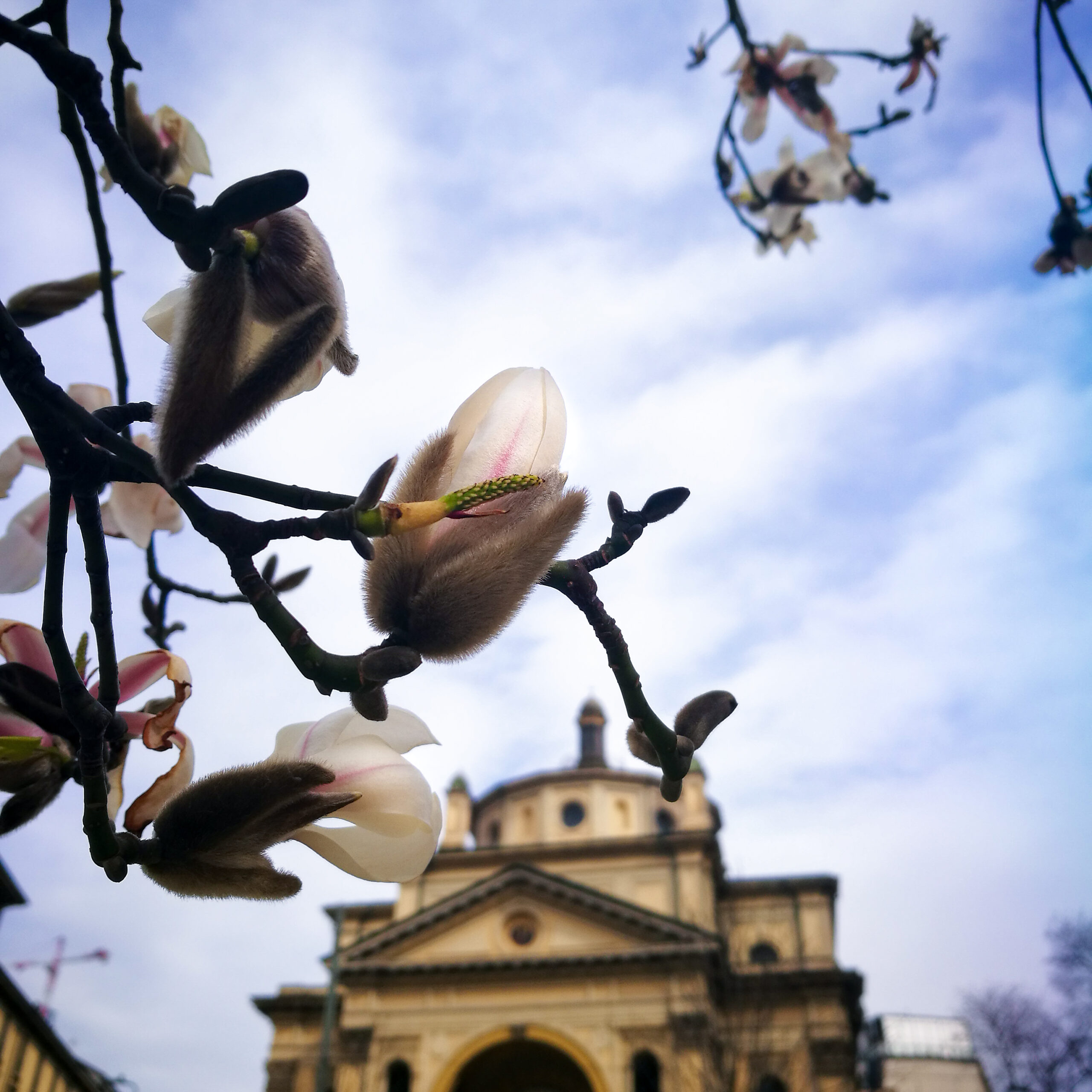 La Botanica di BAM: la primavera alle porte